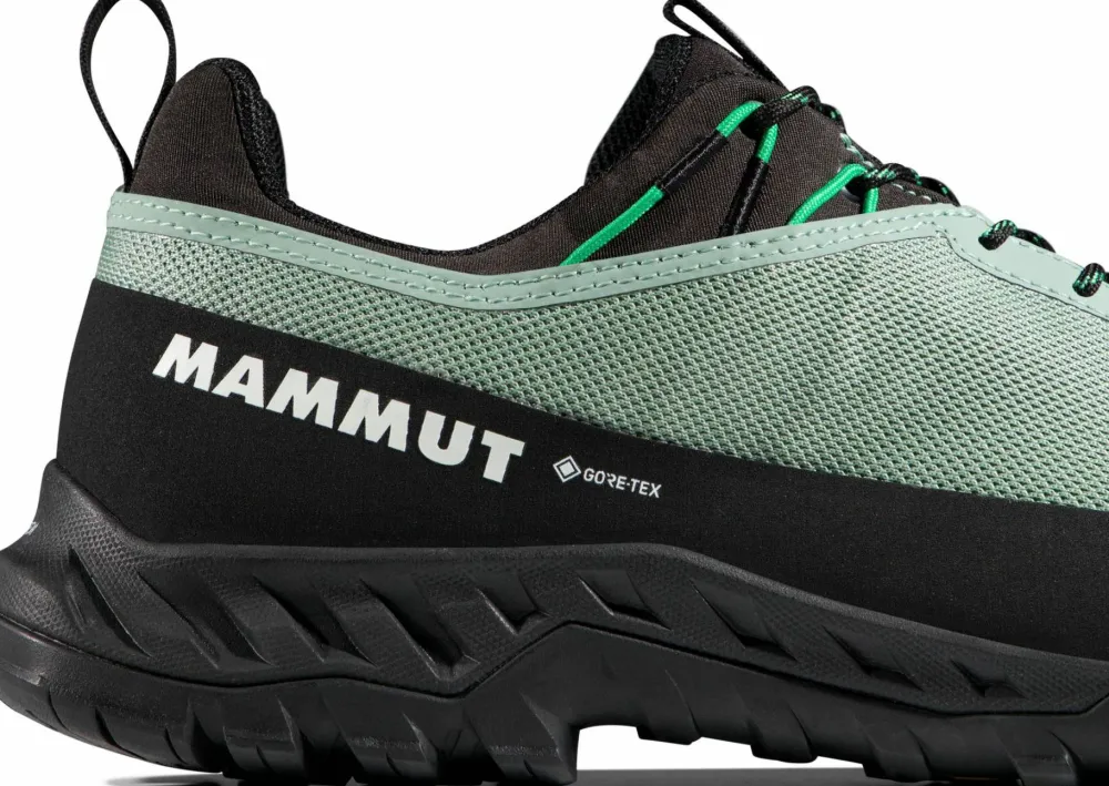 Best Men's Alnasca Iv Low Gtx Gore-Tex Herrskor