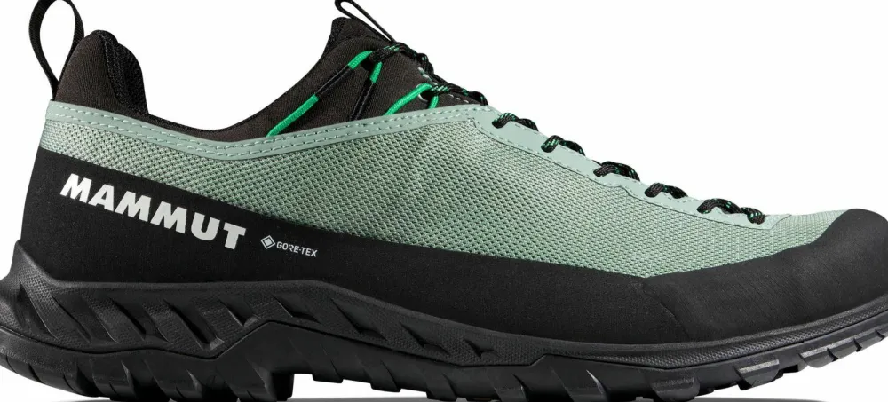 Mammut Men's Alnasca Iv Low Gtx Deep Silver Sage-Pinea Hot
