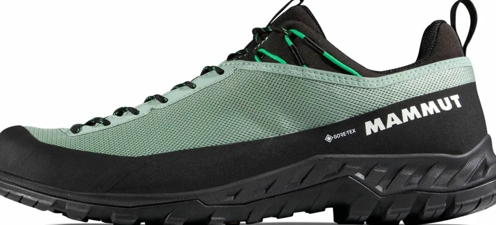 Mammut Men's Alnasca Iv Low Gtx Deep Silver Sage-Pinea Hot