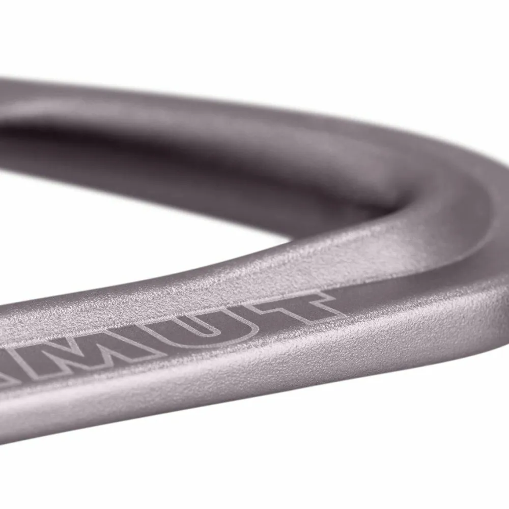 Mammut Workhorse Keylock 12 Cm 6-Pack Quickdraws Straight Gate/Bent Gate Key Lock Straight Gate/Bent Gate Key Lock, grey-pink Online