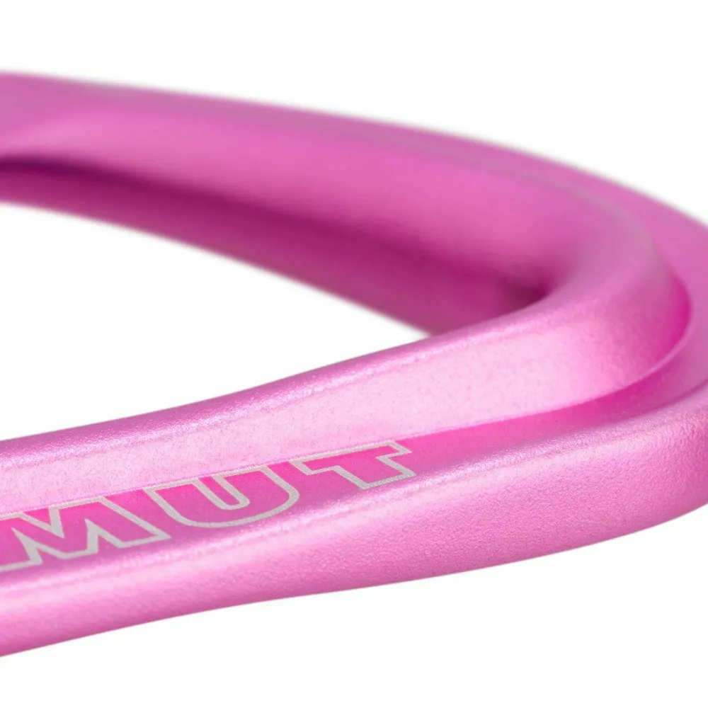 Mammut Workhorse Keylock 12 Cm 6-Pack Quickdraws Straight Gate/Bent Gate Key Lock Straight Gate/Bent Gate Key Lock, grey-pink Online