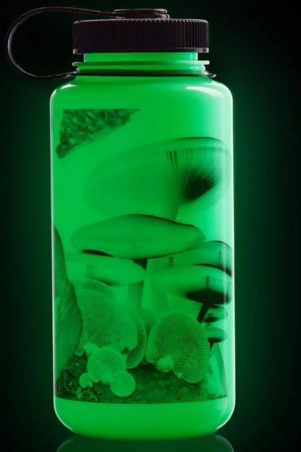 Nalgene 1 L Wm Bottle Glow With Black Mushrooms Best