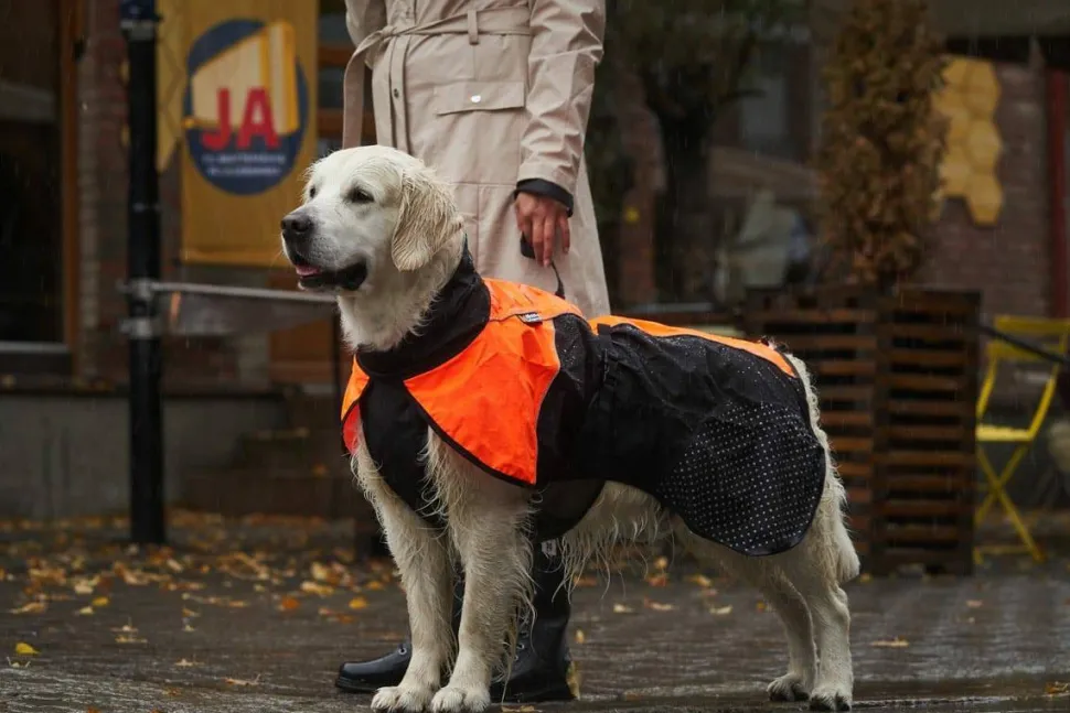 Non-stop Dogwear Beta Pro Raincoat Black/Purple