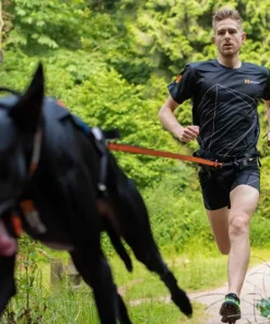 Non-stop Dogwear Bungee Leash 2.8m Black/Orange Outlet