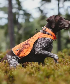 Non-stop Dogwear Camo Cover Camo orange Online
