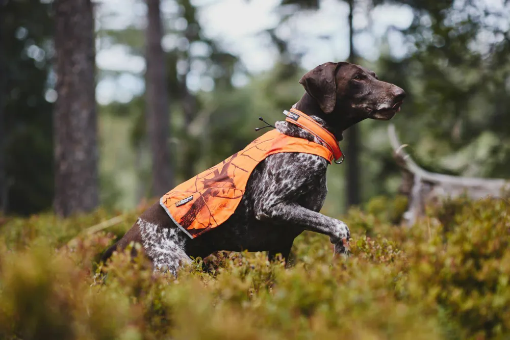 Non-stop Dogwear Camo Cover Camo orange Online