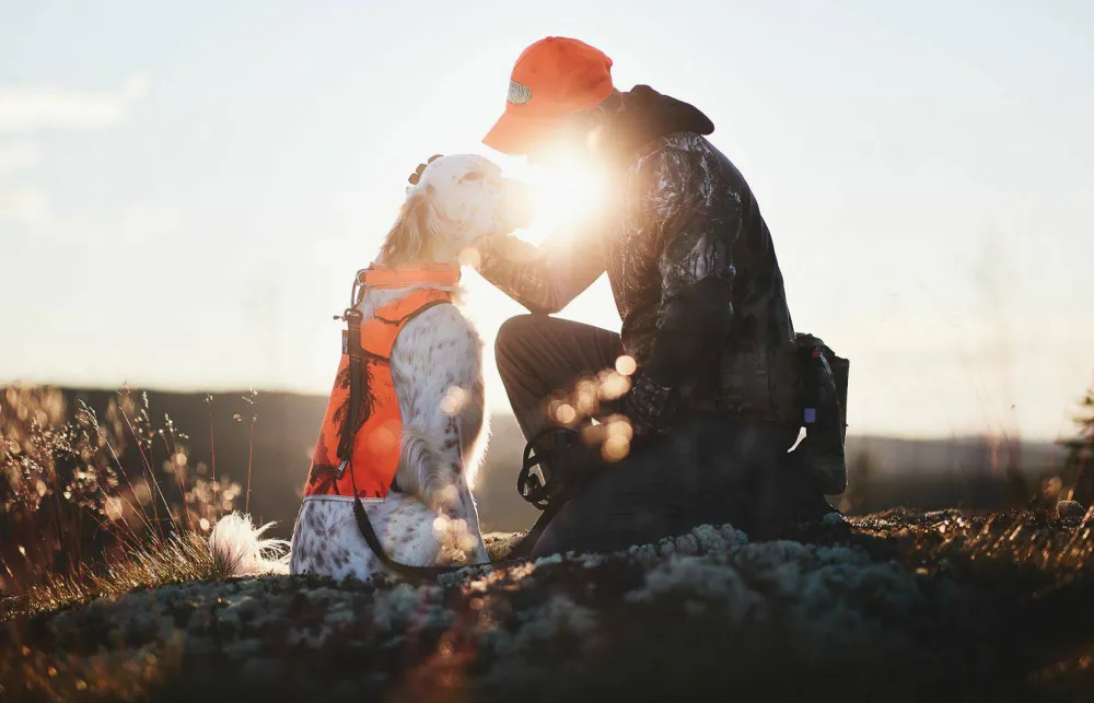 Non-stop Dogwear Camo Cover Camo orange Online