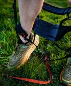 Clearance Canix Belt 2 Hund