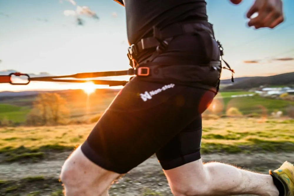 Clearance Canix Belt 2 Hund