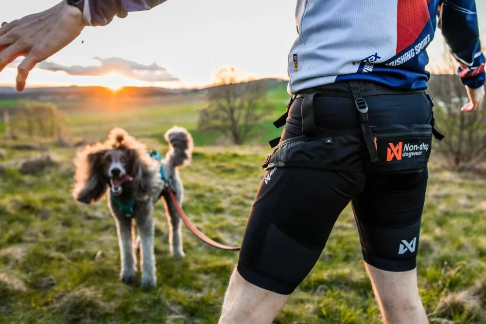 Clearance Canix Belt 2 Hund