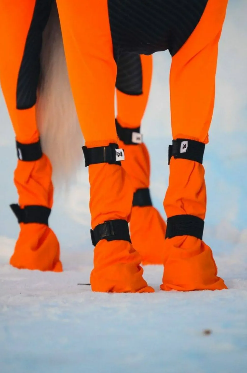 Non-stop Dogwear Contact Bootie High Orange
