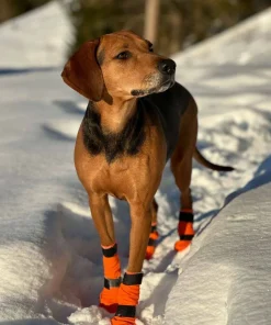 Non-stop Dogwear Contact Bootie High Orange