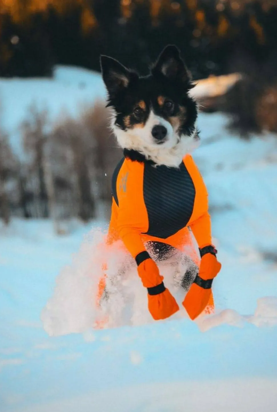 Non-stop Dogwear Contact Bootie High Orange