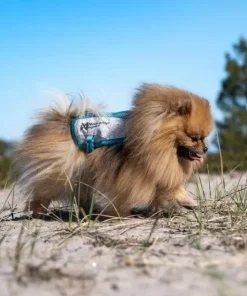 Non-stop Dogwear Cooling Vest Light gray/Teal