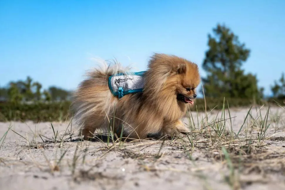 Non-stop Dogwear Cooling Vest Light gray/Teal