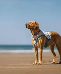 Non-stop Dogwear Cooling Vest Light gray/Teal