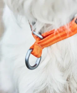 Non-stop Dogwear Cruise Collar orange Clearance