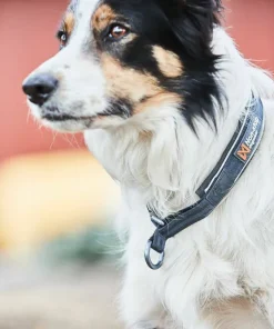 Non-stop Dogwear Cruise Collar black