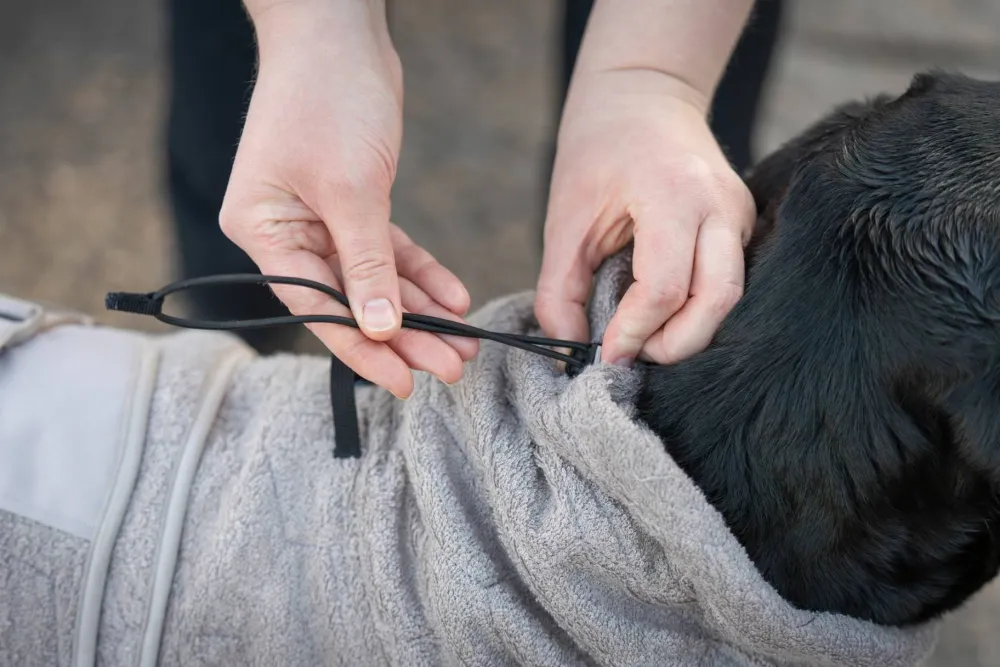 Non-stop Dogwear Drying Coat - Small Sizes Sand