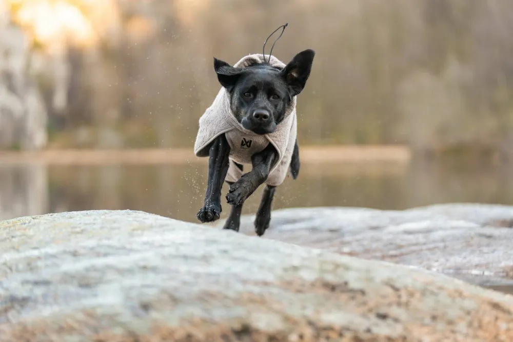 Non-stop Dogwear Drying Coat - Small Sizes Sand
