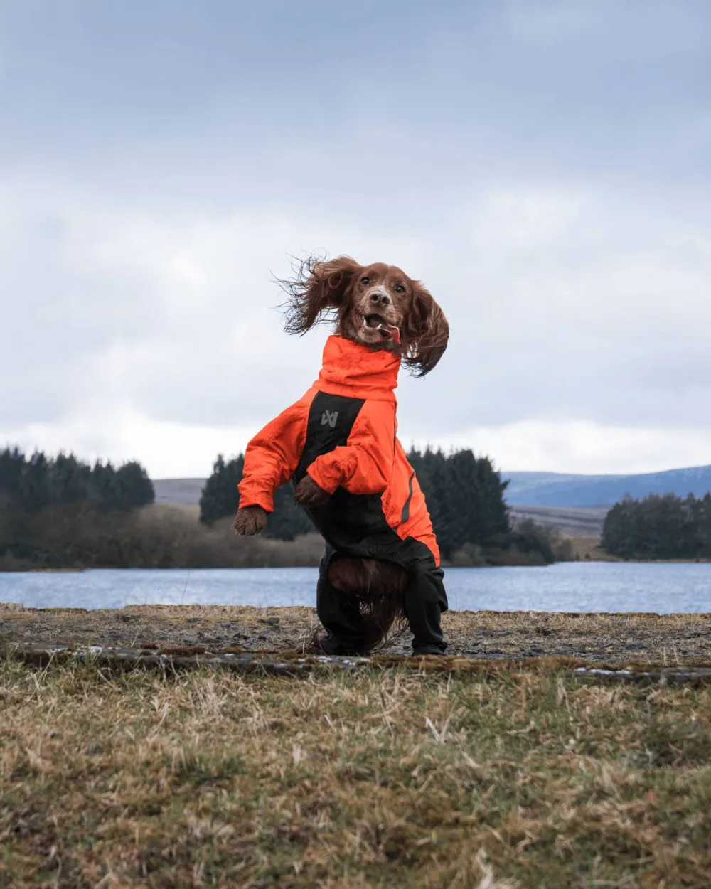 New Fjord Overall Raincoat Hund