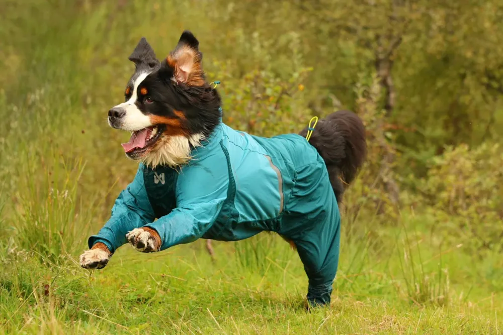 Non-stop Dogwear Fjord Overall Raincoat Teal Outlet