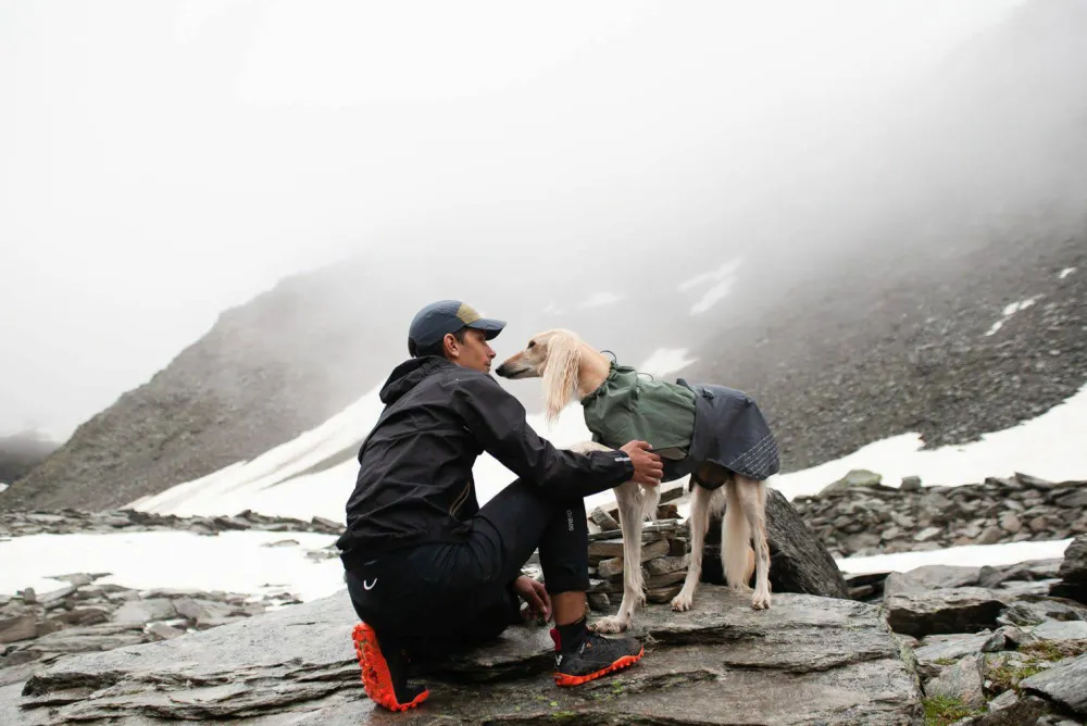 New Fjord Raincoat - Small Sizes Hund