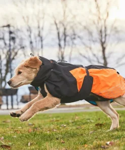 Online Glacier Dog Jacket 2.0 Hund