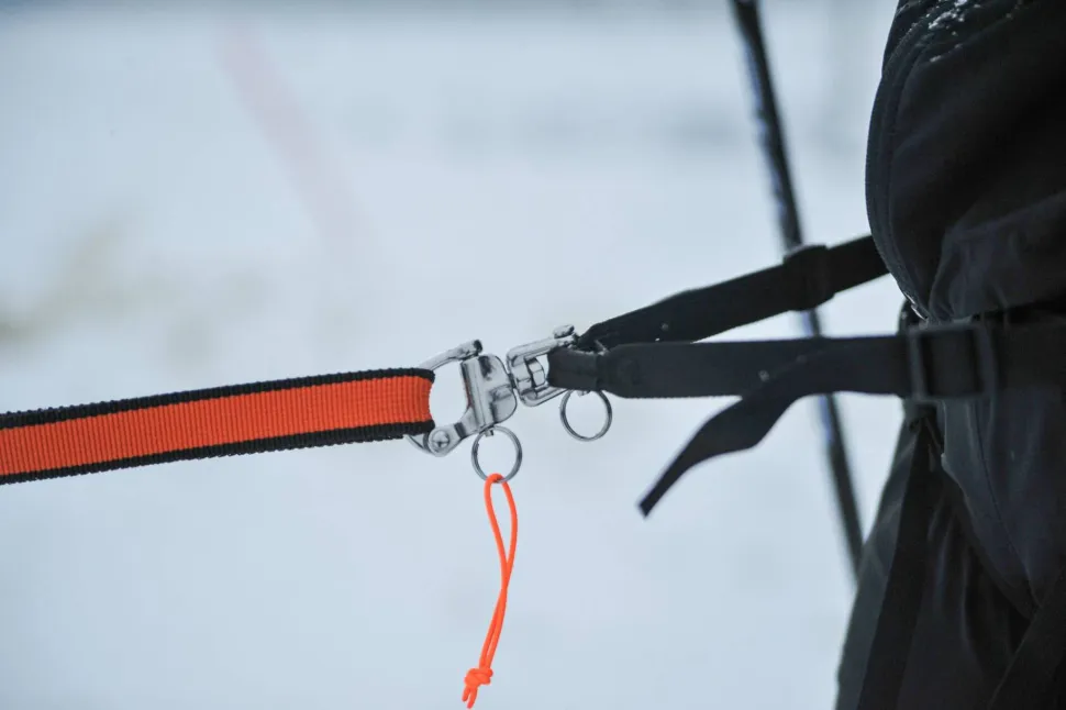 Non-stop Dogwear Løype Belt Pro Black