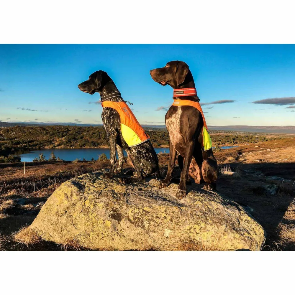Non-stop Dogwear Protector Cover Orange Best