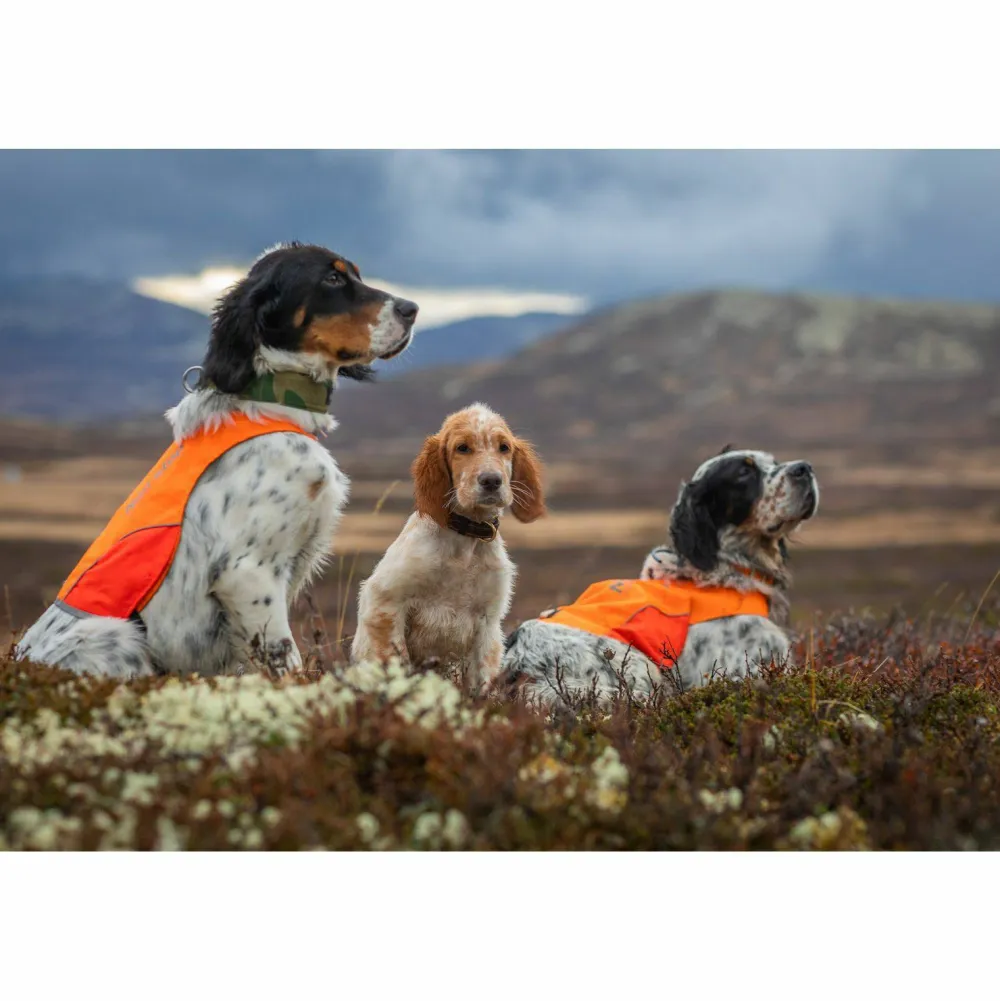 Non-stop Dogwear Protector Cover Orange Best