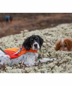 Non-stop Dogwear Protector Cover Orange Best