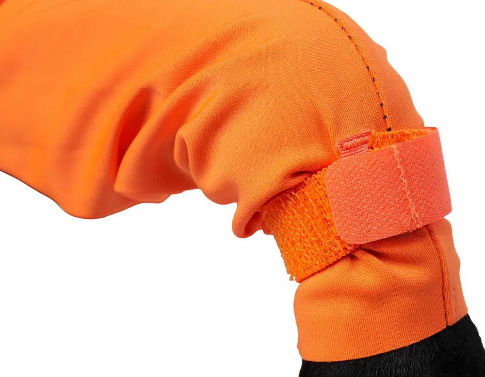 Clearance Protector Dog Suit Male Hund