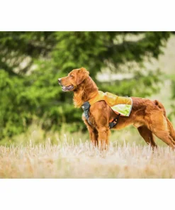 Non-stop Dogwear Protector Vest Orange Outlet