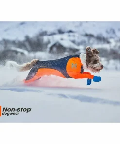 Clearance Protector Snow Male Hund