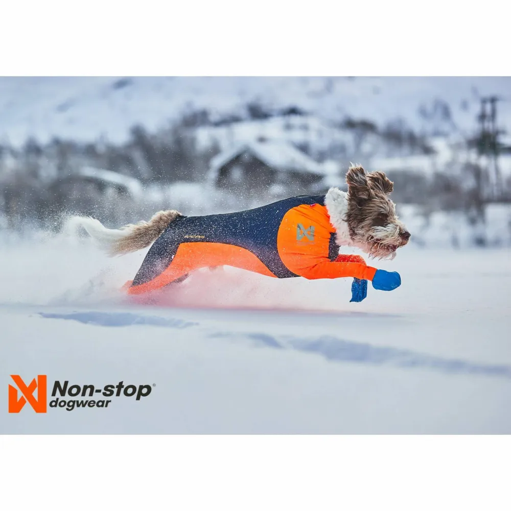 Clearance Protector Snow Male Hund