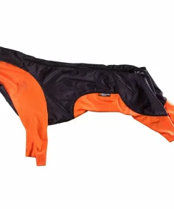 Clearance Protector Snow Male Hund