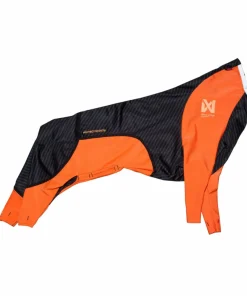 Clearance Protector Snow Male Hund
