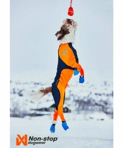 Clearance Protector Snow Male Hund