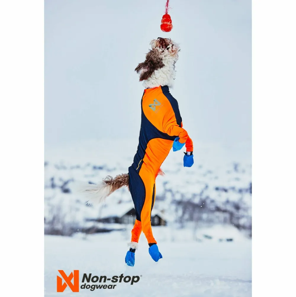 Clearance Protector Snow Male Hund