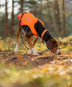Non-stop Dogwear Protector Cover 2.0 Orange Clearance