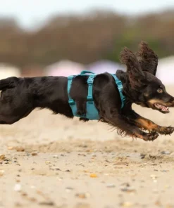 Non-stop Dogwear Ramble Harness Long Blue Online