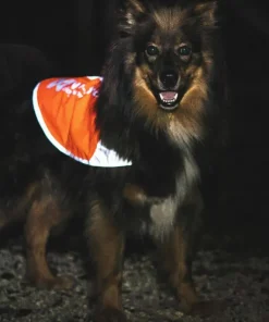 Non-stop Dogwear Reflection Blanket orange Outlet