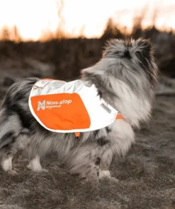 Non-stop Dogwear Reflection Blanket orange Outlet