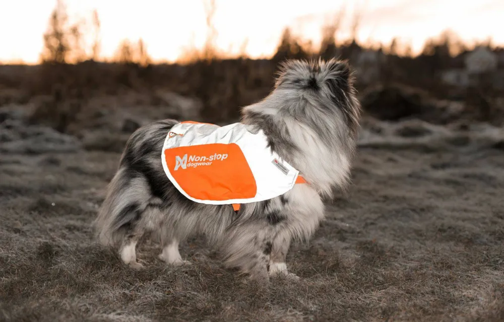 Non-stop Dogwear Reflection Blanket orange Outlet