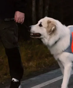 Non-stop Dogwear Reflection Blanket orange Outlet