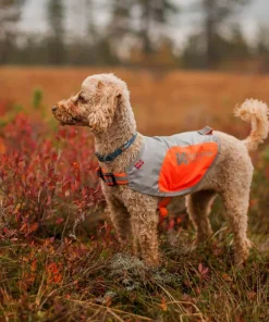 Non-stop Dogwear Reflection Blanket orange Outlet
