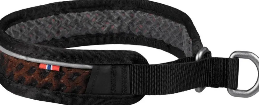 Rock Collar 3.0 Hund