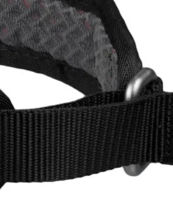 Rock Collar 3.0 Hund