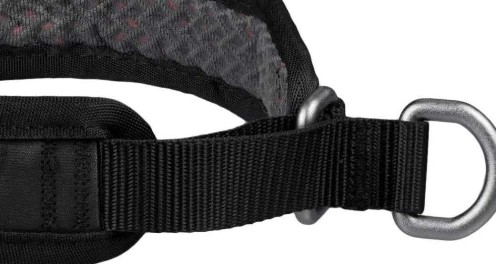 Rock Collar 3.0 Hund